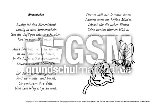 M-Bienenleben-Fallersleben.pdf
